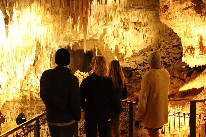 Waitomo Glow Worm Caves - Group size, comfort, and guide service