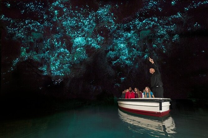 Waitomo Glow Worm Caves & Te Puia (Rotorua) Private Tour - Who should book this tour
