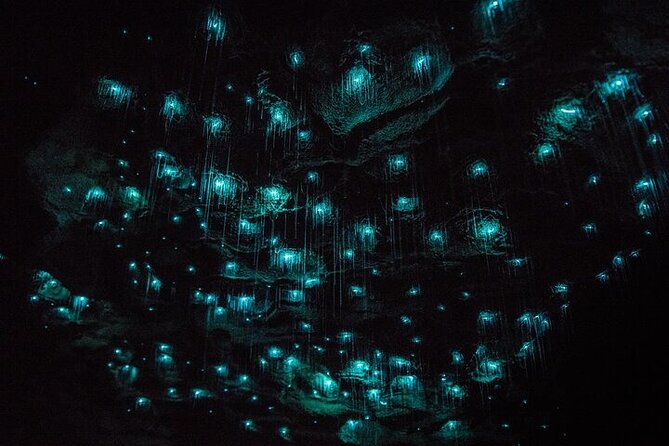 Waitomo Glow Worm Caves & Te Puia - Rotorua's Geothermal Valley - Entering the Waitomo Glowworm Caves