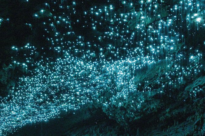 Waitomo Glowworm Caves Guided Tour - Is $50.27 good value?