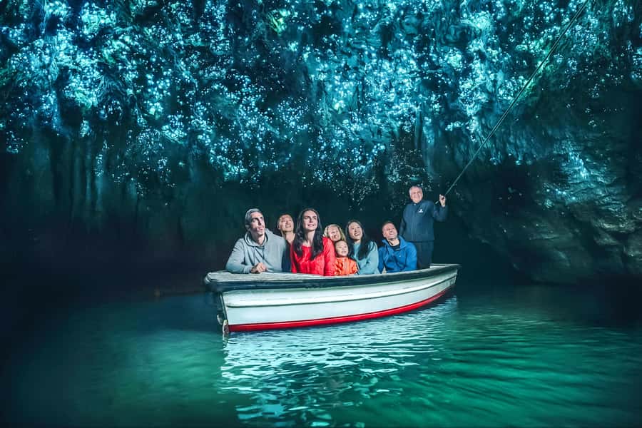 Waitomo: Glowworm Caves Guided Tour by Boat - Why the Waitomo glowworms are worth seeing