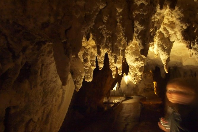 Waitomo Glowworm Caves In a Private Small Group Tour-Auckland. - The Cave Visit: Catacombs, Cathedral, and the Grotto