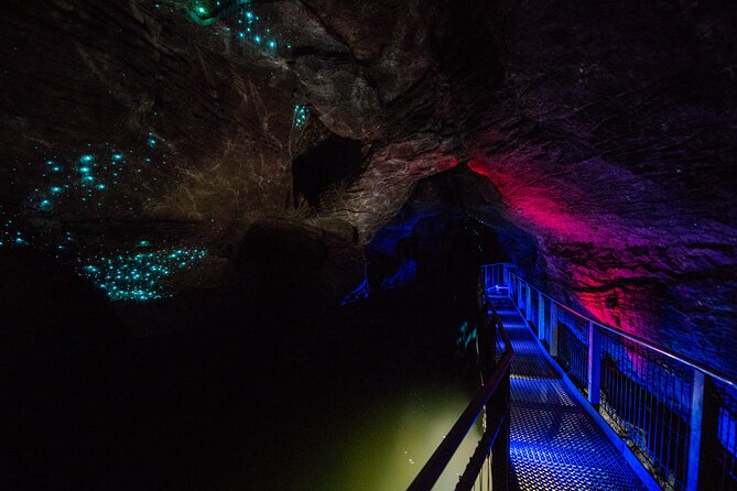 Waitomo Glowworm & Ruakuri Twin Cave Experience - Small Group Tour From Auckland - Key points to know before you go
