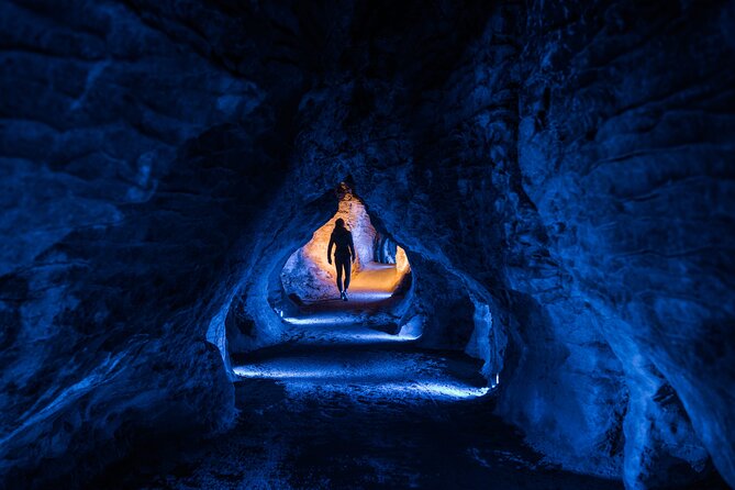 Waitomo Glowworm & Ruakuri Twin Cave - Private Tour From Auckland - The Glowworm Caves and the underground boat ride