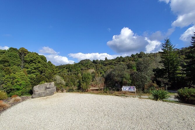 Waitomo Glowworm & Ruakuri Twin Cave - Private Tour From Auckland - Who should book this Waitomo day trip