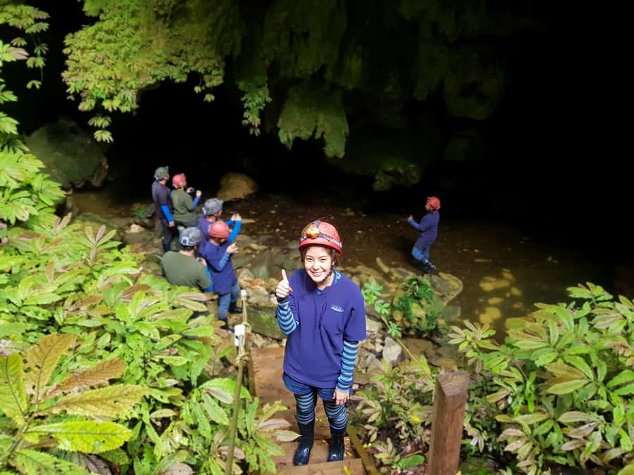 Waitomo: Guided Eco-Cave Tour - Key points at a glance