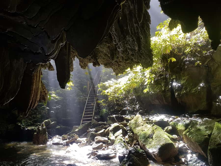 Waitomo: Guided Eco-Cave Tour - What makes this different from the main Waitomo cave tours