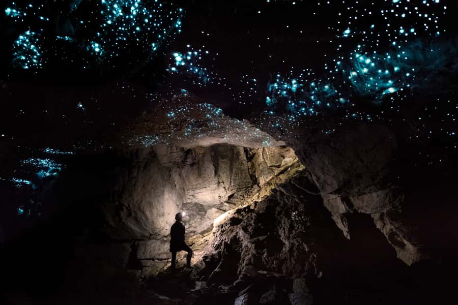 Waitomo: Guided Eco-Cave Tour - Who will enjoy this most