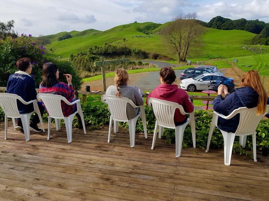 Waitomo: Guided Eco-Cave Tour - Practical tips for a better cave day