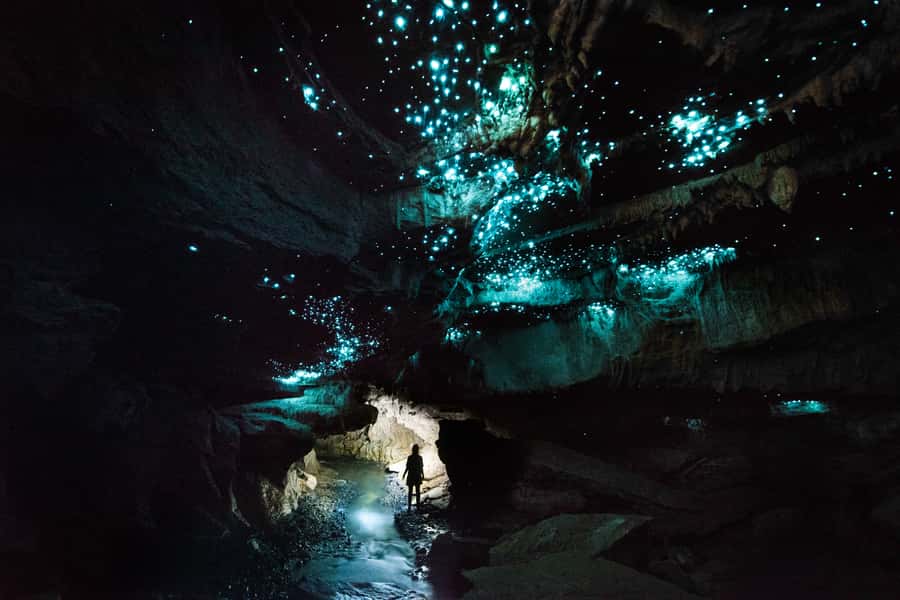 Waitomo: Guided Eco-Cave Tour - Finding 1199 Oparure Road without taking the wrong turn