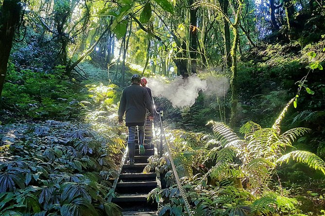 Waitomo’s Hidden Gem: Small-Group Off the Beaten Track Tour - Key points to know before you book