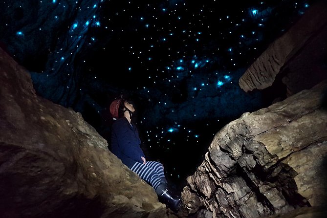 Waitomo’s Hidden Gem: Small-Group Off the Beaten Track Tour - The short walk through bush and gorge