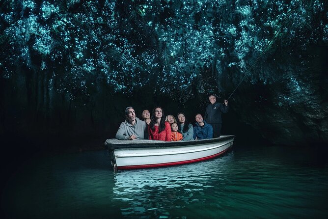 WAITOMO - Twin Caves Discovery - Private Day Tour from Auckland - Key points to know before you book