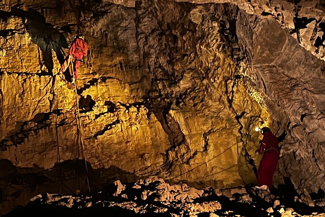 WAITOMO - Twin Caves Discovery - Private Day Tour from Auckland - A practical pause at Waitomo Homestead