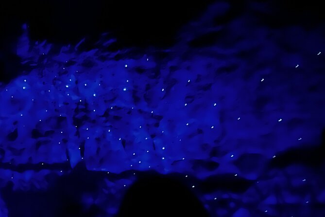 WAITOMO - Twin Caves Discovery - Private Day Tour from Auckland - Ruakuri Cave offers a closer underground look