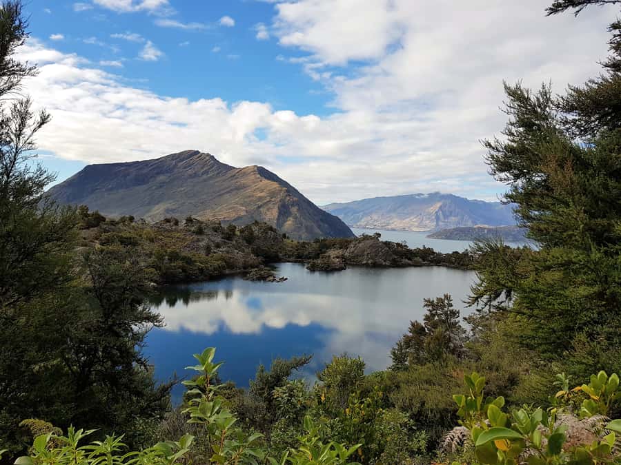 Wanaka: Water Taxi & Mou Waho Island Tour - Should You Book the Mou Waho Island Tour?