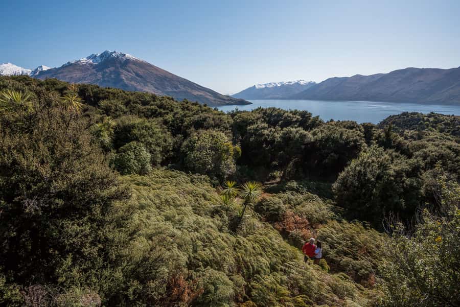 Wanaka: Water Taxi & Mou Waho Island Tour - Tyrwhitt Peak and the Best Views on the Island