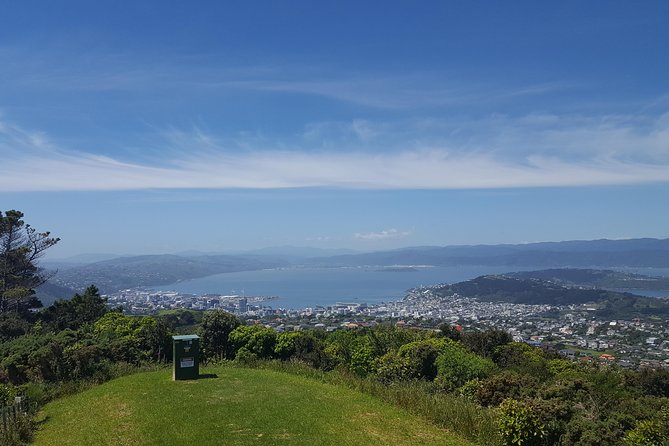 Wellington Cave to Coast Highlights Tour (5 Hours with Lunch) - A five-hour introduction to Wellington