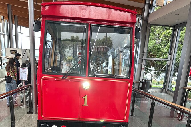 Wellington city heights shared sightseeing tour - Mount Victoria delivers the classic view