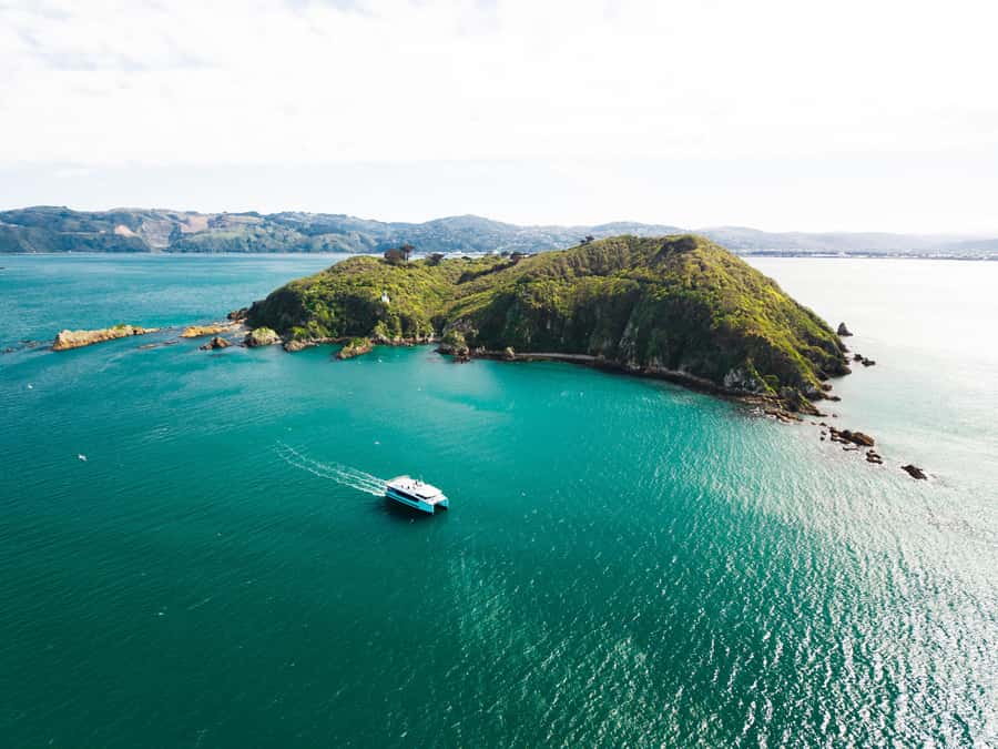 Wellington: Commentated Harbour Explorer tour - What the commentary adds to Wellington’s waterfront