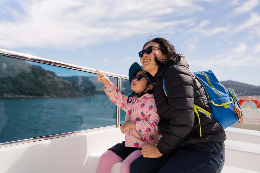 Wellington: Commentated Harbour Explorer tour - Why the electric ferry matters