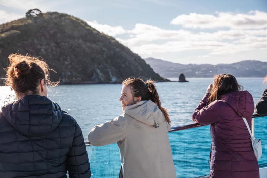 Wellington: Commentated Harbour Explorer tour - How the changing conditions affect the sightseeing