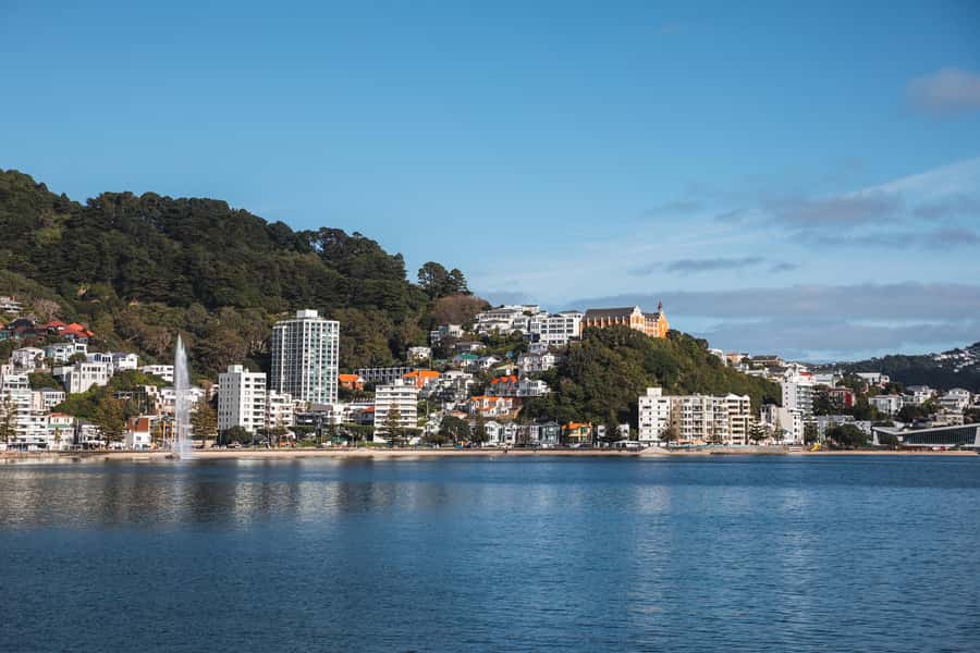 Wellington: Commentated Harbour Explorer tour - Booking flexibility and possible disruptions