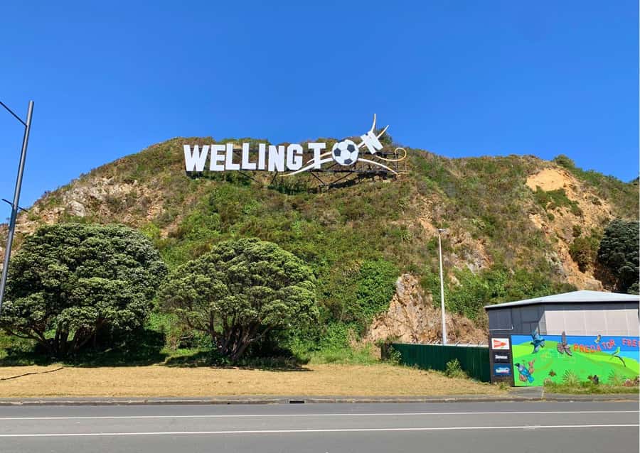 Wellington Electric Bike Rental - Mt Victoria supplies the big view