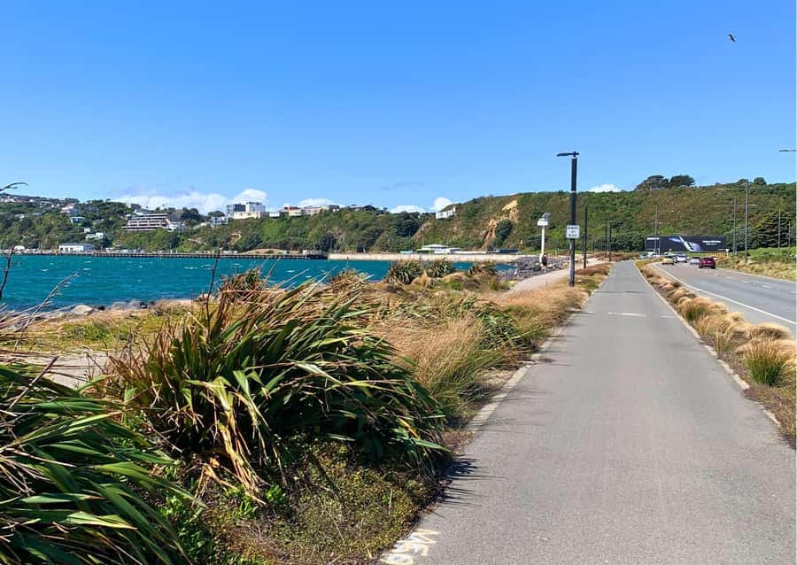 Wellington Electric Bike Rental - Pencarrow Lighthouse requires a ferry and extra effort
