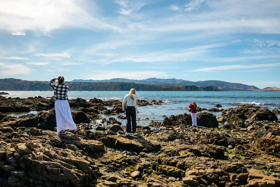 Wellington: Guided City Tour with Cable Car Ticket - Key points at a glance