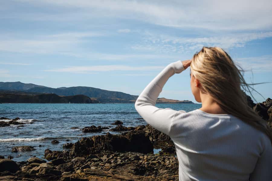 Wellington: Guided City Tour with Cable Car Ticket - Why this three-hour tour works so well in Wellington