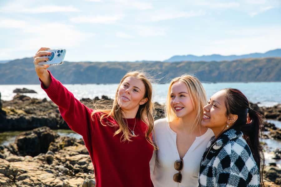 Wellington: Guided City Tour with Cable Car Ticket - The cable car ride and lookout