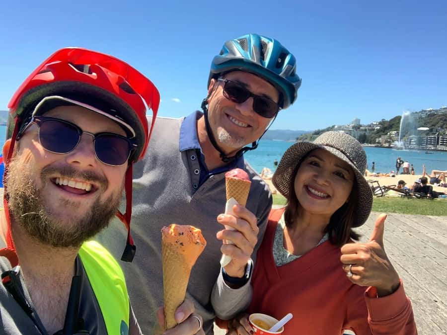 Wellington: Guided Sightseeing Tour by Electric Bike - Key points to know before you book