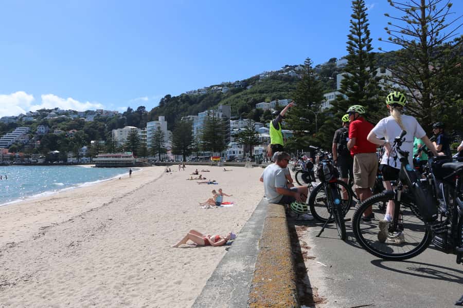 Wellington: Guided Sightseeing Tour by Electric Bike - Starting beside Wellington’s waterfront