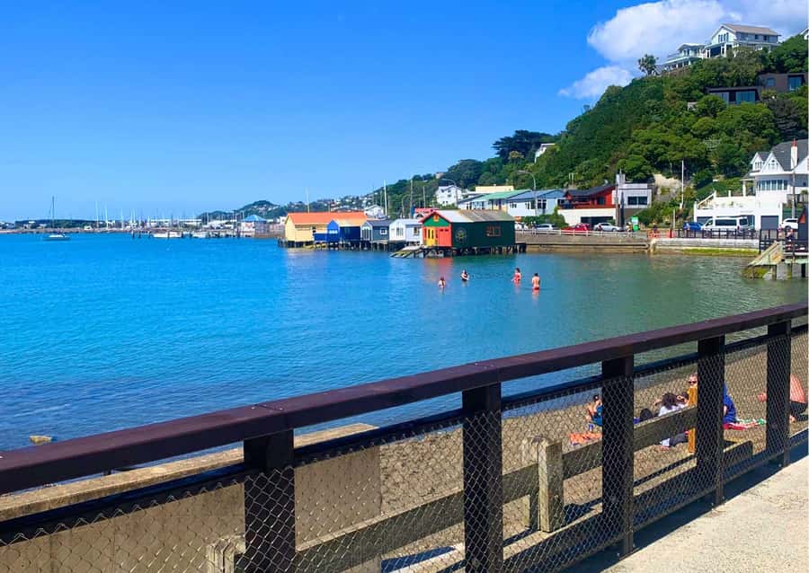 Wellington: Guided Sightseeing Tour by Electric Bike - The final climb to the lookout