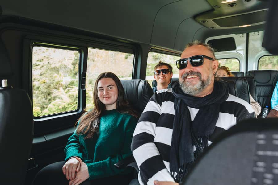Wellington: Half Day Seal Coast Safari - Why this is more than a seal-spotting trip