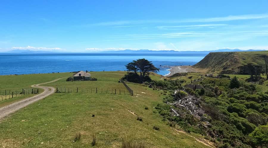 Wellington: Half Day Seal Coast Safari - The leaning lighthouse and the descent to Tongue Point
