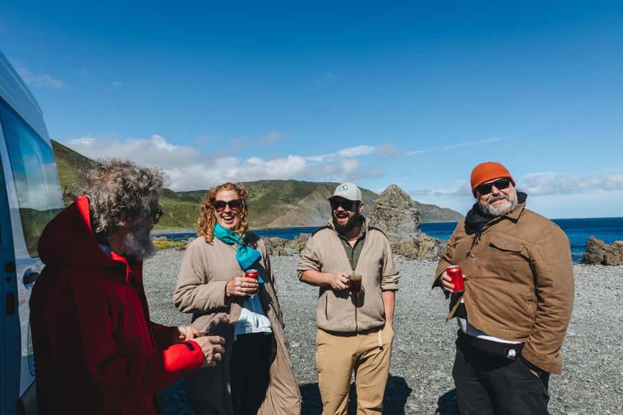 Wellington: Half Day Seal Coast Safari - Weather matters more than you might expect