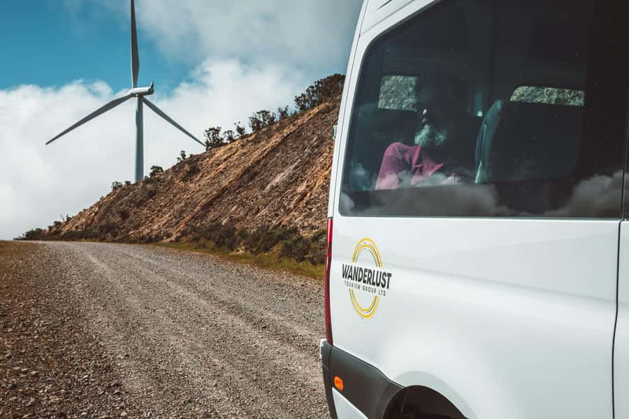 Wellington: Half Day Seal Coast Safari - Is $116 good value?