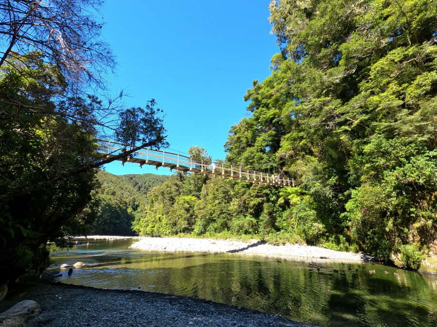 Wellington: Original LOTR Full-Day Tour with Weta & Lunch - Weather, walking, and what to pack