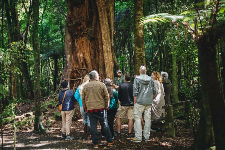 Wellington: Original LOTR Full-Day Tour with Weta & Lunch - Why this is more than a movie-photo tour