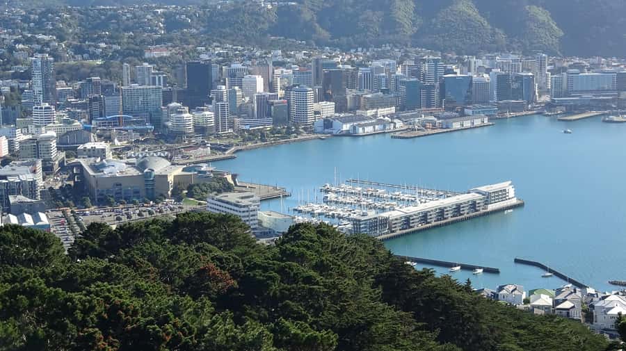 Wellington: Original LOTR Half-Day Experience with Weta - Mount Victoria gives you Wellington before Middle-earth