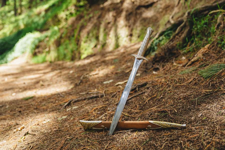 Wellington: Original LOTR Half-Day Experience with Weta - Walking through the Outer Shire filming sites