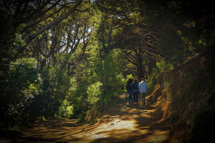 Wellington: Original LOTR Half-Day Experience with Weta - Wētā Workshop explains how Middle-earth was built