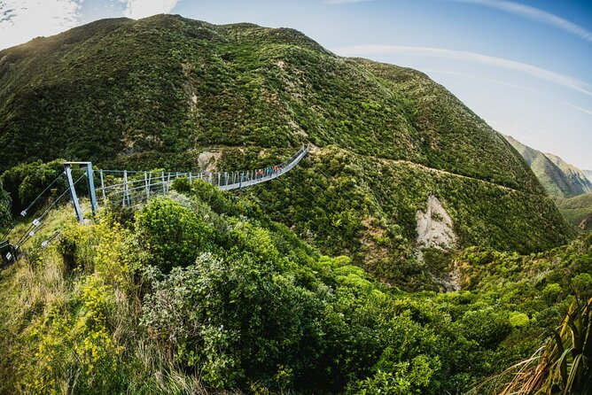 Wellington Remutaka Rail Trail eBike Cycle Tour - Why the Remutaka Rail Trail makes a fine day out