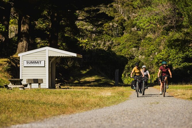 Wellington Remutaka Rail Trail eBike Cycle Tour - The Summit lunch break and the crossing of the range