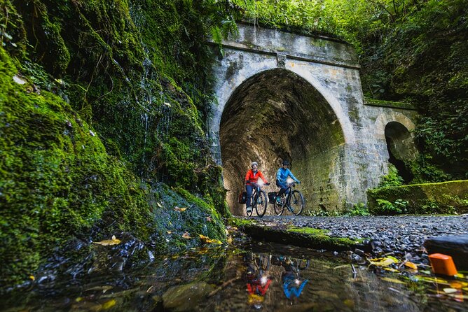 Wellington Remutaka Rail Trail eBike Cycle Tour - Starting at Wellington Station or the cruise port