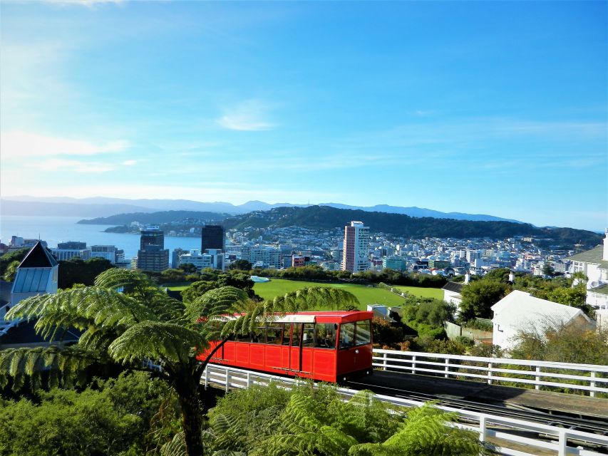 Wellington: Return Cable Car Ticket - Why booking ahead can save time