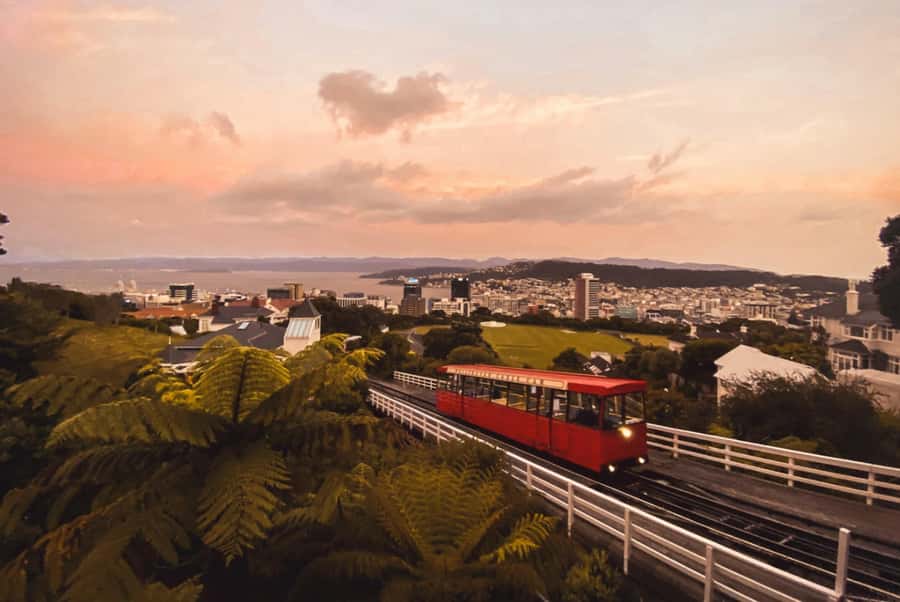 Wellington: Return Cable Car Ticket - A practical plan for a half day