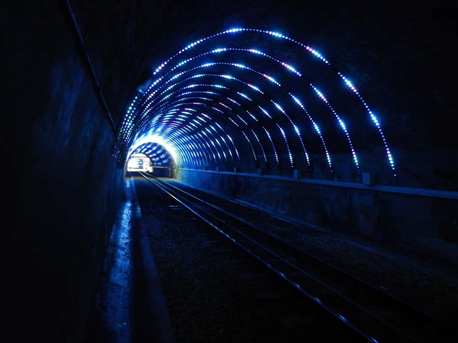 Wellington: Return Cable Car Ticket - What the journey is really like